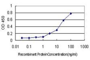 Detection limit for recombinant GST tagged KCNMB4 is approximately 0.