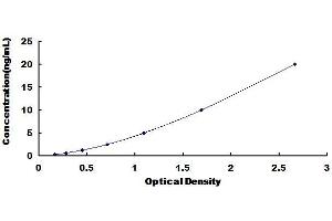 Typical Standard Curve for Human PRSS23 ELISA. (PRSS23 Kit ELISA)