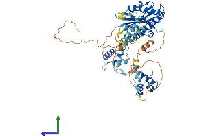 AlphaFold protein structure predicition of Mouse Recombinant Jrk Protein, UniprotID Q60976