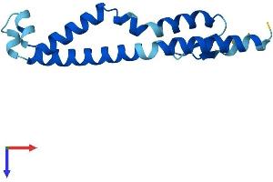 AlphaFold protein structure predicition of Mouse Recombinant Cnep1r1 Protein, UniprotID Q3UJ81