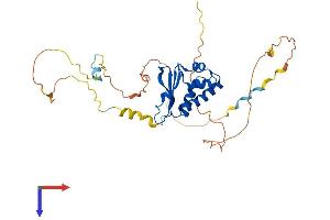 AlphaFold protein structure predicition of Human Recombinant TOB1 Protein, UniprotID P50616