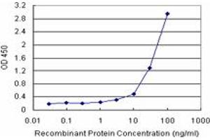 Sandwich ELISA detection sensitivity ranging from 1 ng/mL to 100 ng/mL.