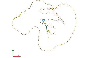 AlphaFold protein structure predicition of Mouse Recombinant Fam220a Protein, UniprotID Q3ZN08