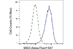 Validation of MSI2 knockdown using flow cytometry. (Recombinant MSI2 anticorps)