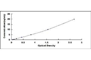 Typical standard curve (RBM20 Kit ELISA)