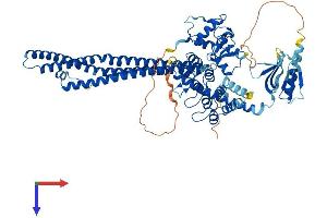AlphaFold protein structure predicition of Human Recombinant ACAP1 Protein, UniprotID Q15027