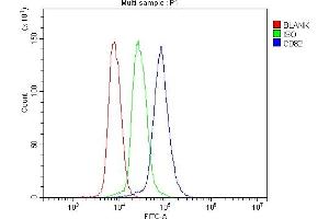 anti-CD82 (CD82) (AA 32-266) antibody