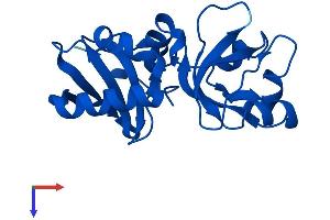 AlphaFold protein structure predicition of Mouse Recombinant Mcts1 Protein, UniprotID Q9DB27