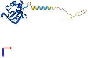 AlphaFold protein structure predicition of Human Recombinant DTD1 Protein, UniprotID Q8TEA8