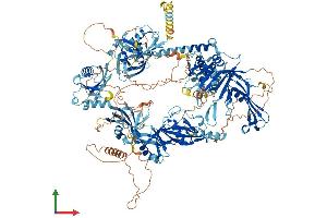 AlphaFold protein structure predicition of Mouse Recombinant Usp47 Protein, UniprotID Q8BY87