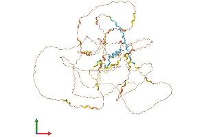 AlphaFold protein structure predicition of Mouse Recombinant Ggn Protein, UniprotID Q80WJ1