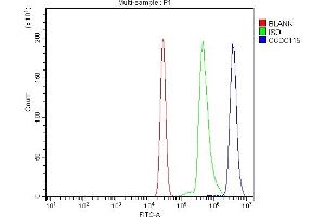 Flow Cytometry analysis of U937 cells using anti-CCDC115 antibody (ABIN7599042). (CCDC115 anticorps  (AA 1-180))