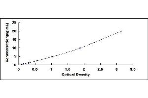 Typical standard curve (PKM2 Kit ELISA)