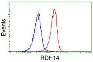 Image no. 1 for anti-Retinol Dehydrogenase 14 (All-Trans/9-Cis/11-Cis) (RDH14) antibody (ABIN1500656) (RDH14 anticorps)