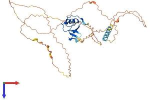 AlphaFold protein structure predicition of Mouse Recombinant Ggnbp1 Protein, UniprotID Q6K1E7