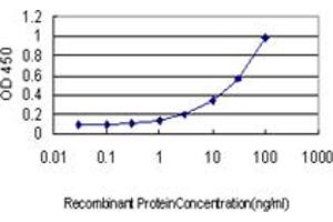Detection limit for recombinant GST tagged TOP2A is approximately 0.