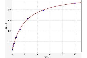 Typical standard curve (RAC1 Kit ELISA)