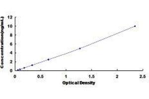 Adenosine A2a Receptor (ADORA2A) ELISA Kit