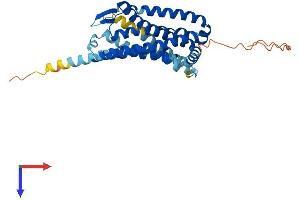 Chemokine (C-X-C Motif) Receptor 6 (CXCR6) (AA 1-342) protein (His tag)