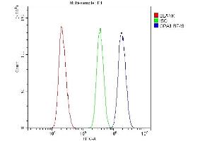 Flow Cytometry analysis of U20S cells using anti-OPA1 antibody (ABIN3043457). (OPA1 anticorps  (C-Term))