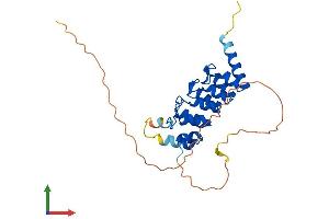 AlphaFold protein structure predicition of Mouse Recombinant Rfxank Protein, UniprotID Q9Z205