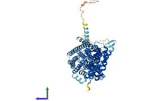 AlphaFold protein structure predicition of Human Recombinant CLCNKB Protein, UniprotID P51801