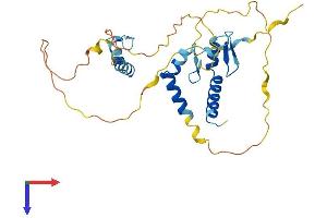 AlphaFold protein structure predicition of Human Recombinant ZMAT3 Protein, UniprotID Q9HA38