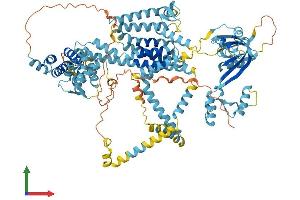 AlphaFold protein structure predicition of Human Recombinant WFS1 Protein, UniprotID O76024
