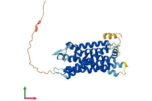 AlphaFold protein structure predicition of Human Recombinant CYSLTR2 Protein, UniprotID Q9NS75
