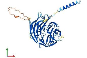 AlphaFold protein structure predicition of Mouse Recombinant Preb Protein, UniprotID Q9WUQ2