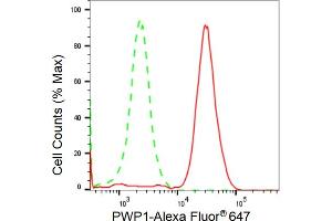 Flow cytometric analysis of PWP1 expression in HeLa cells using PWP1 antibody (ABIN7800071), 1:2,000). (Recombinant PWP1 anticorps)