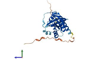 AlphaFold protein structure predicition of Mouse Recombinant Rab3a Protein, UniprotID P63011