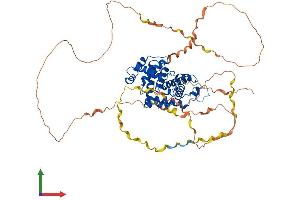 AlphaFold protein structure predicition of Human Recombinant CCNK Protein, UniprotID O75909