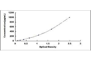 Typical standard curve (TCN1 Kit ELISA)