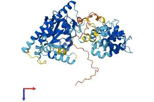 AlphaFold protein structure predicition of Mouse Recombinant Lpcat1 Protein, UniprotID Q3TFD2