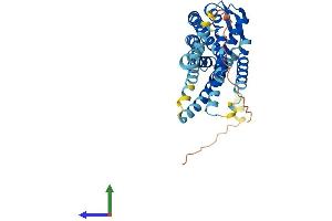 AlphaFold protein structure predicition of Mouse Recombinant Cxcr3 Protein, UniprotID O88410