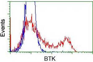 Image no. 8 for anti-Bruton Agammaglobulinemia tyrosine Kinase (BTK) antibody (ABIN1496974) (BTK anticorps)