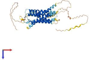 AlphaFold protein structure predicition of Mouse Recombinant Gpr150 Protein, UniprotID Q8BL07