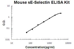 Mouse sE-Selectin Accusignal ELISA Kit Mouse sE-Selectin AccuSignal ELISA Kit standard curve. (Soluble E-Selectin Kit ELISA)