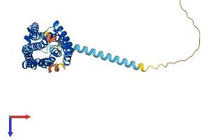 AlphaFold protein structure predicition of Human Recombinant FFAR3 Protein, UniprotID O14843