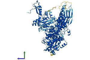 AlphaFold protein structure predicition of Mouse Recombinant Polr3b Protein, UniprotID P59470