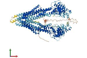 AlphaFold protein structure predicition of Human Recombinant ABCB1 Protein, UniprotID P08183