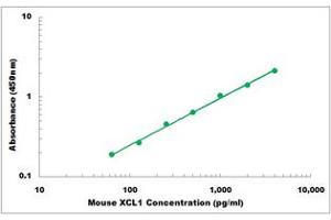 Representative Standard Curve (XCL1 Kit ELISA)