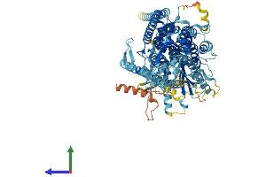 AlphaFold protein structure predicition of Mouse Recombinant Ano6 Protein, UniprotID Q6P9J9