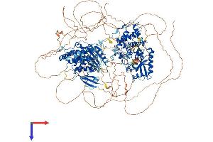 AlphaFold protein structure predicition of Mouse Recombinant Tut7 Protein, UniprotID Q5BLK4
