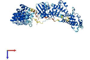 AlphaFold protein structure predicition of Mouse Recombinant Rnasel Protein, UniprotID Q05921