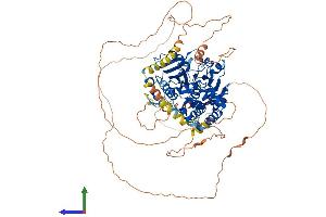 AlphaFold protein structure predicition of Human Recombinant DENND1B Protein, UniprotID Q6P3S1