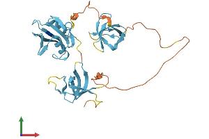 AlphaFold protein structure predicition of Human Recombinant CRKL Protein, UniprotID P46109