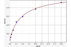 Typical standard curve