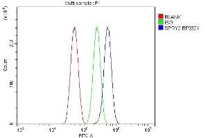 Flow Cytometry analysis of U87 cells using anti-Spry-2/SPRY2 antibody (ABIN7599261).